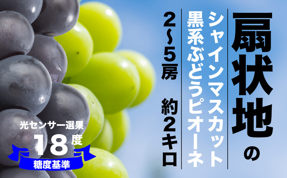 
            【糖度検査済】シャインマスカットとピオーネの詰合せ【約2kg】 肥沃な大地と沢山の日光で育った扇状地のブドウ【バイパス清果園】206-015　山梨県 笛吹市 一宮 果物 フルーツ 新鮮 有機 国産 高級 美味しい 人気 おすすめ 贈答 ギフト 黒 葡萄 ぶどう ブドウ グレープ
          