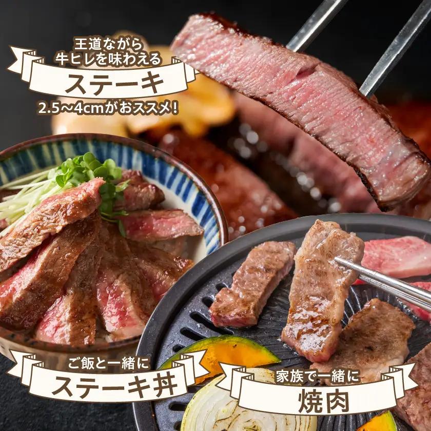 宮崎牛ヒレブロック500g〔22-8905〕_(都城市) 宮崎県産 宮崎牛 真空パック ヒレブロック 高級部位 枝肉の3％ 希少な部位 やわらか 脂肪分が少ない お好みサイズ カット