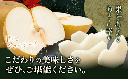 梨 秀品 秋月梨 約1.8kg（4～7玉） 日本フルーツ《8月下旬-9月末頃出荷》熊本県 長洲町 なし 梨 果物 フルーツ デザート ギフト ご贈答