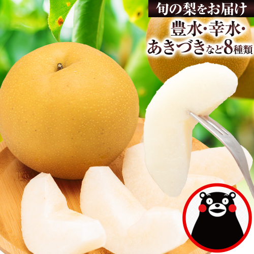 【2026年先行予約】梨 くまもと梨 秋 旬 なし 季節限定 幸水 豊水 先行 果物 くだもの フルーツ ナシ 梨 先行予約 送料無料 あきづき 甘太 新高 新興 約3.5kg 5玉～15玉前後 熊本県産【着日指定不可】《2026年8月下旬‐11月中旬頃より出荷》旬 果物 お取り寄せ