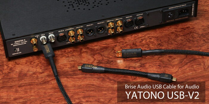 【ふるさと納税】Brise Audio ブリスオーディオ 高級 高額 音響 YATONO USB-V2／オーディオ用USBケーブル YATONO USB-V2 TYPE C to C (17cm OTG)