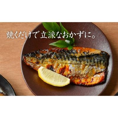 ふるさと納税 鯖江市 鯖街道 5種セット(西京漬け・塩麹漬け・もろみ漬け・醤油漬け・ニンニク塩だれ漬け) |  | 03