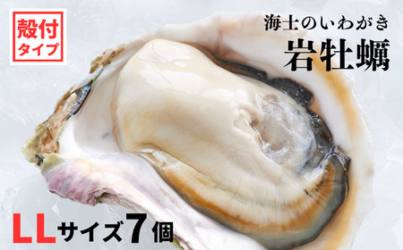 【海士のいわがき】殻付き LLサイズ 7個 岩牡蠣 生食可 新鮮クリーミー 冷凍 牡蛎 牡蠣 かき カキ 岩牡蠣 いわがき CAS CAS冷凍 父の日 母の日 バーベキュー ギフト