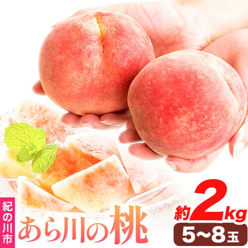 【ふるさと納税】あら川の桃 約2kg(5〜8玉) 直ちゃん農園【先行予約】《7月中旬-8月末頃出荷》 和歌山県 紀の川市 果物 フルーツ 桃 もも モモ なつっこ 川中島白桃 旬 送料無料
