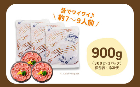 U61-42R09 【7営業日以内発送】【訳あり】厚切り 牛タンステーキ 塩レモン（900g） たんもとたんなか 焼肉 牛肉 味付け肉 BBQ 簡単 焼くだけ 冷凍 大人気 家庭用 手軽 送料無料 福