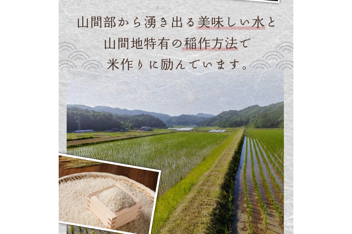 2026年産 京都・久美浜三谷産 丹後コシヒカリ「三谷幸米」 玄米 30kg ふるさと納税 コシヒカリ 新米 令和8年産 ふるさと納税 玄米　MM00029
