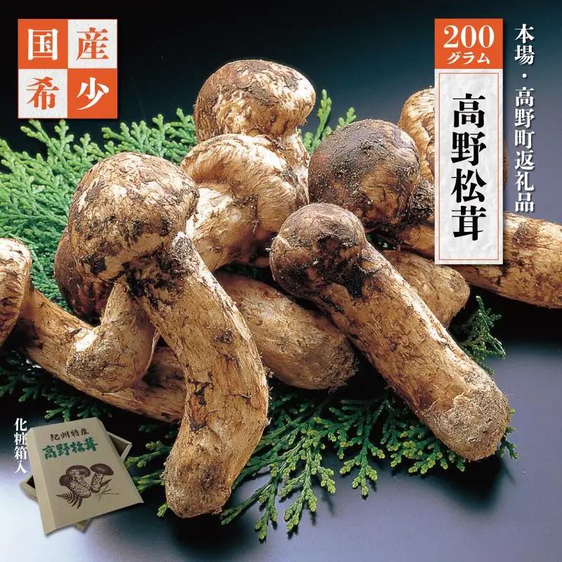 【2026年発送分】希少な国産松茸「高野松茸」200g【化粧箱入】香り・歯応え・味ともに最高級！