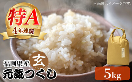 米 【特A】「元気つくし」5kg×1袋 [5kg] [玄米] [ABDF202] 令和7年産 米 ご飯 ごはん こめ コメ おにぎり 