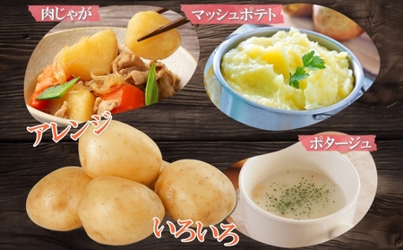 北海道産 じゃがいも きたかむい 約10kg Lサイズ ジャガイモ キタカムイ 馬鈴薯 いも ポテト 常備野菜 根菜 産直 国産 日本産 JAようてい 送料無料 北海道 倶知安町 北海道のジャガイモ 