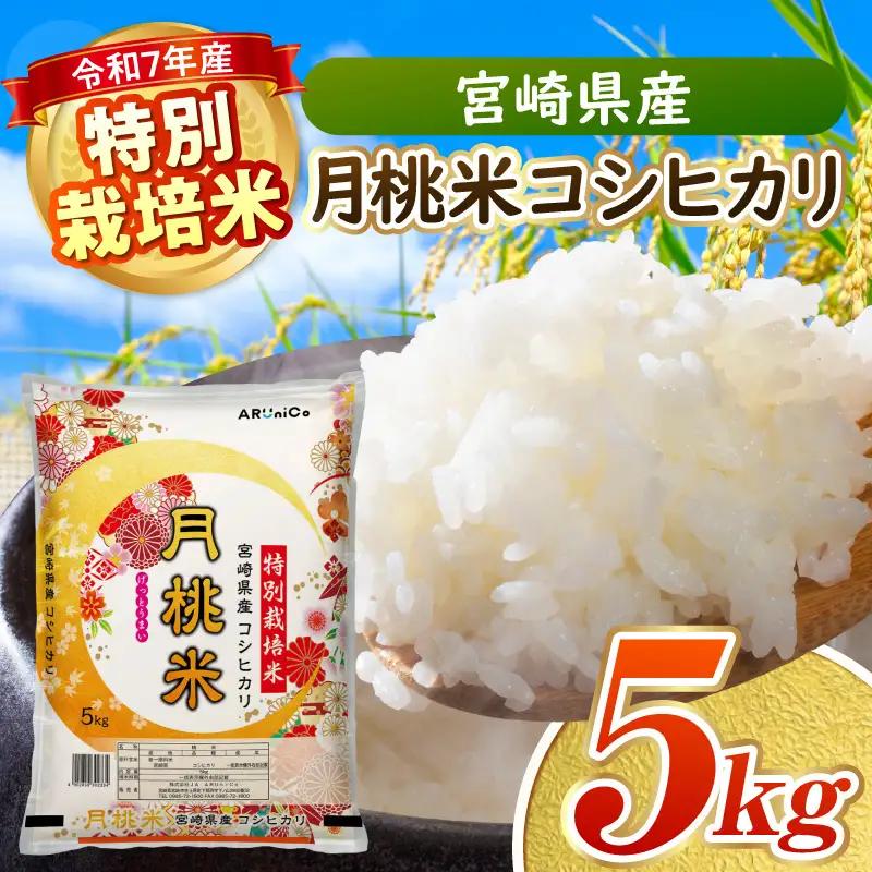 《令和7年産》特別栽培米 宮崎県産月桃米コシヒカリ お米 米 白米