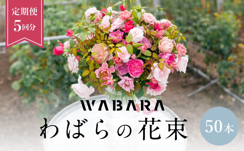 
                  わばら花束50本定期便　５回分　 WABARA  摘みたて ブーケ 花束 Rose Universe AT-0013
                