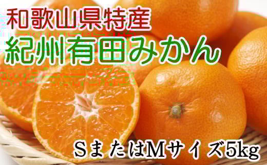 [秀品]和歌山有田みかん　5kg(SサイズまたはMサイズのいずれか) ※2025年11月中旬～2026年1月中旬頃順次発送（お届け日指定不可）【tec833A】