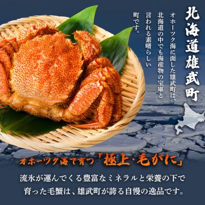 ふるさと納税 雄武町 【北海道雄武町産】毛がに(冷凍)(750g前後×1)【1240601】 |  | 01