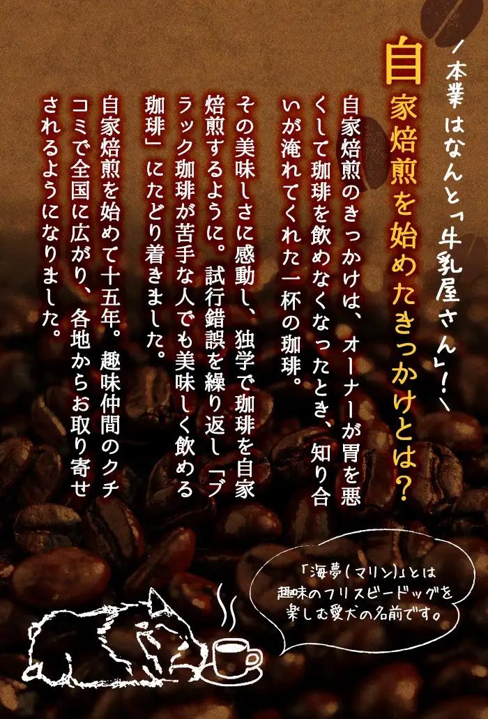 No.205 自家焙煎コーヒー 飲みやすいオリジナルブレンド♪海夢珈琲(マリンコーヒー) ＜コーヒー粉＞ (200g×3袋 計600g)飲料 コーヒー コーヒー粉 自家焙煎 ブレンドコーヒー オリジナ