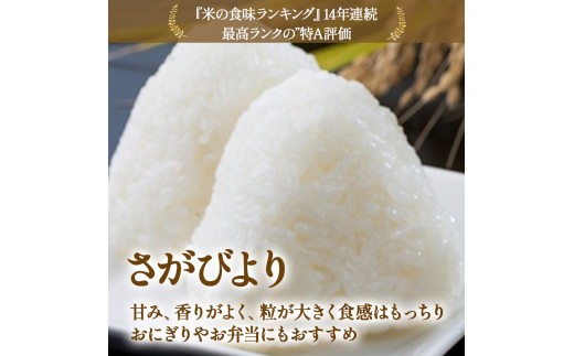 【先行予約】牟田農園のさがびより 10kg （5kg×2袋） 【令和8年産】 ＜精米＞ 新米 米 さがびより 牟田農園 佐賀県 太良町 P114x2