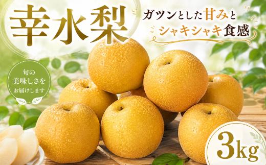【先行予約】 梨 幸水 3kg なし ナシ 梨 幸水 こうすい 幸水梨 果物 くだもの フルーツ デザート 新鮮 果肉 果汁 fruit nasi ふるうつ ふるーつ 梨  3キロ ナシ フルーツ 幸水 旬 幸水 梨 ナシ こうすいなし 甘い みずみずしい 産地直送  農家直送 お取り寄せ たけうち農園 茨城県 筑西市 関東