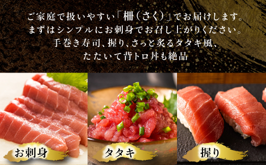 北海道産 天然 本マグロ 背トロ 冷凍 200g × 3柵 計600g（訳あり 筋あり）＜出荷時期：2025年8月以降順次出荷＞ 国産 鮪 ホンマグロ クロマグロ ネギトロ マグロたたき にもできます