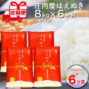 【ふるさと納税】＜1月中旬発送＞ 庄内米 6か月定期便！ はえぬき 8kg （入金期限：2024.12.31） ブランド米 ふるさと納税 米 定期便 山形県