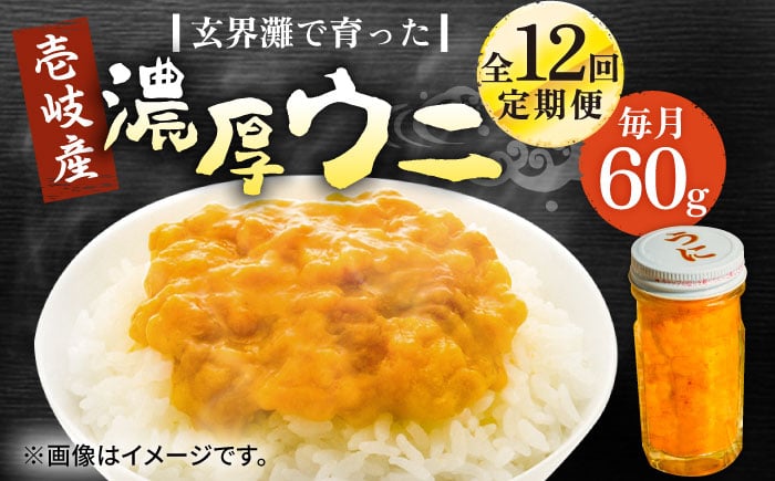 
            【全12回定期便】壱岐産 濃厚 ウニ60g《壱岐市》【合同会社塚元】ムラサキウニ 海産物 海鮮 ウニ うに 雲丹 珍味 [JDR032]
          