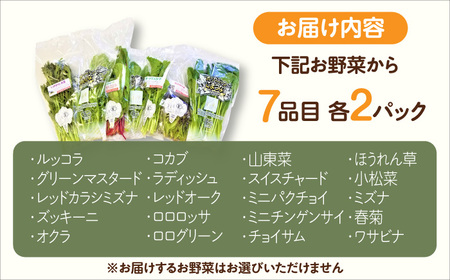 ＜植物性で育てた葉野菜ブランド＞ オーガニック葉物野菜セット 7種×2パック 有機JAS 佐賀県 / 株式会社サガンベジ [41ANCH002]