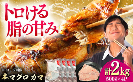 対馬産 本マグロ カマ 2kg ≪対馬市≫【桐谷商店】 トロの華 対馬 新鮮 マグロ かま 鮪[WAQ103]