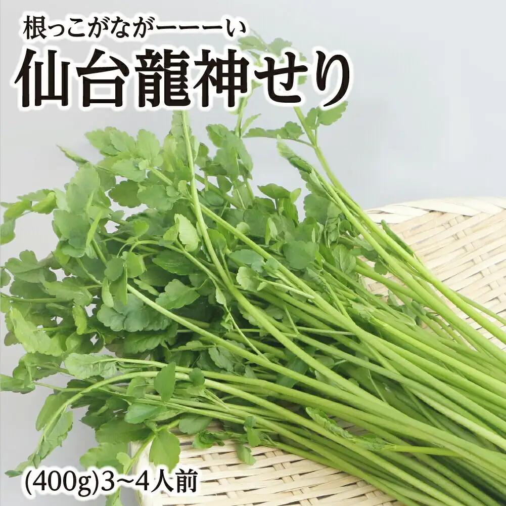 根っこがながーーーい 仙台龍神せり 3～4人前 期間限定