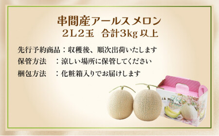 TNM2L ＜先行予約・数量限定＞ 串間産アールスメロン２Ｌ２玉（計３kg以上）【谷口農園】