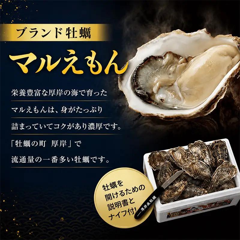 8月配送 訳あり 牡蠣 北海道厚岸産 殻付カキ 約4kg (25から50個) カキナイフ付 生食 生牡蠣 貝付き牡蠣 貝 海鮮 魚介類 殻付き牡蠣 マルえもん