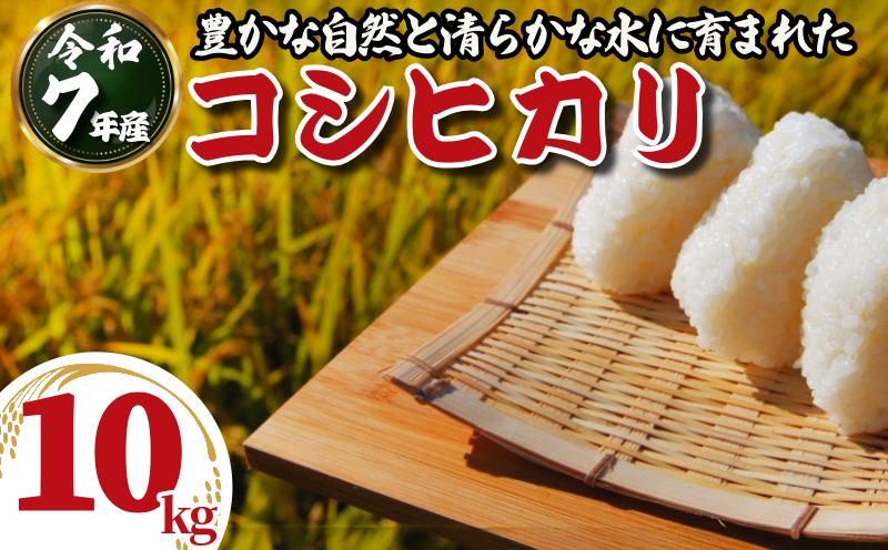 令和7年産 米 コシヒカリ 10kg 先行予約 2025年9月発送 新米 こしひかり 白米 精米 お米 農家直送 国産 徳島県 小松島市