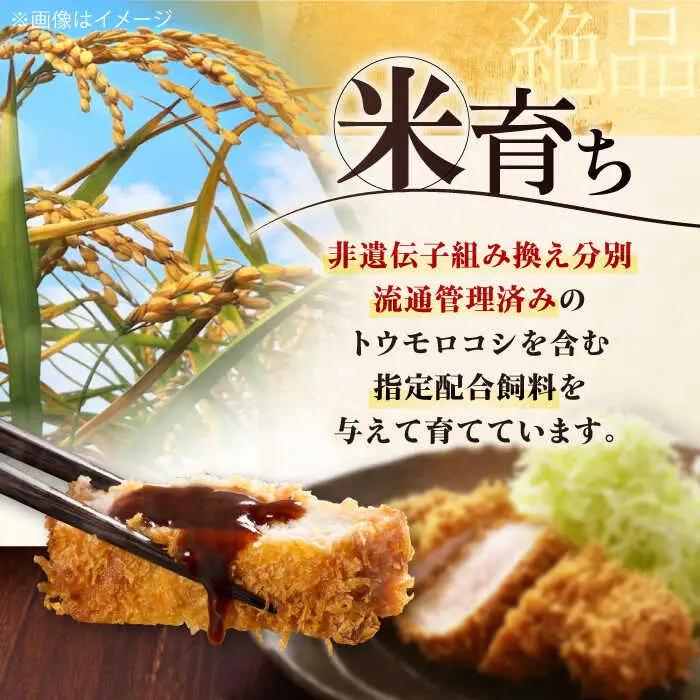【全12回定期便】平田牧場 ロース ブロック 400g  豚肉 ローストポーク 煮豚 [AJAP168]