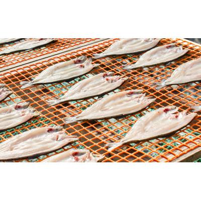 ふるさと納税 富士川町 山女(ヤマメ) の干物(大3枚入り) |  | 02