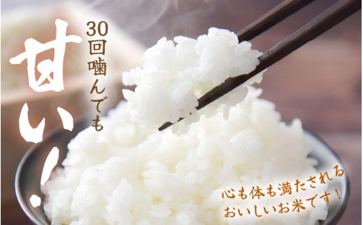 【令和8年産】定期便 ≪6ヶ月連続お届け≫長谷川農園の コシヒカリ 無洗米 10kg × 6回 (計60kg) 【お米 こしひかり 10キロ 精米 ブランド米 ふるさと納税米 産地直送】 [m22-l