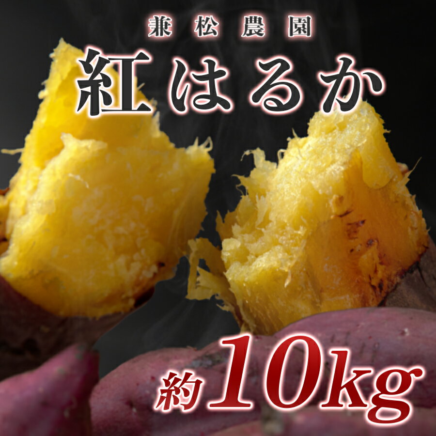 【ふるさと納税】【高知県 大月町産】兼松農園　紅はるか　10kg