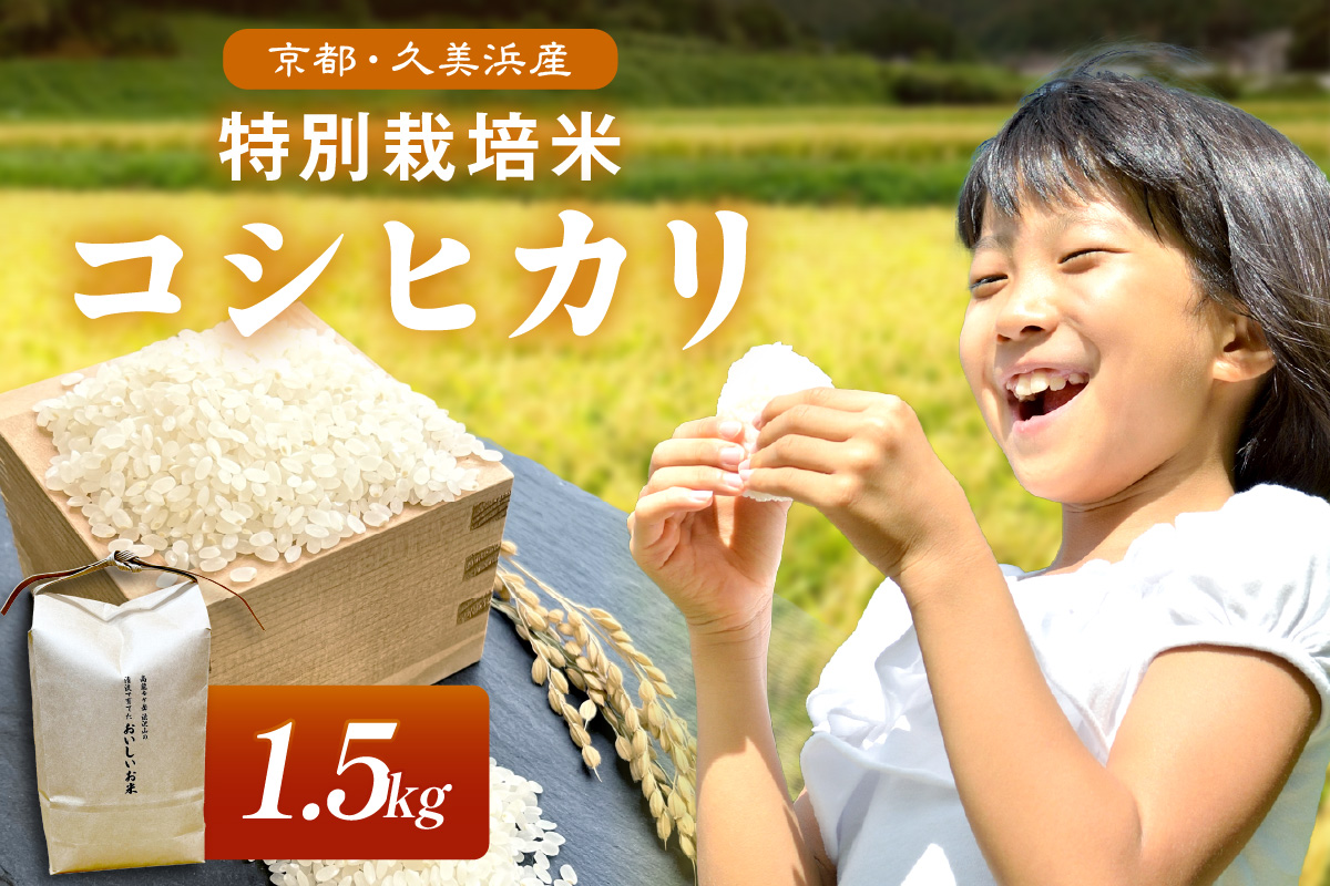 2025年産 京都・久美浜産 特別栽培米コシヒカリ 1.5kg お米 特別栽培米 精米 白米 ふるさと納税 米 こしひかり ふるさと納税 こしひかり コシヒカリ ご飯 ごはん ふるさと納税 米　AL00011