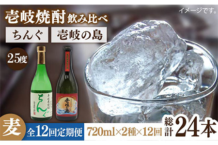 【全12回定期便】壱岐の島 25度とちんぐのセット [JDB221] 156000 156000円