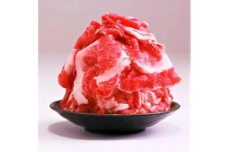 博多和牛 切り落とし 500g 牛肉 福岡県 糸田町