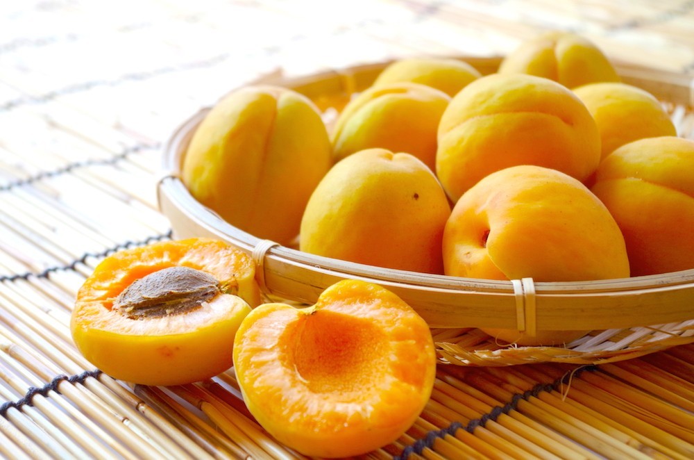 
                  【2026年先行予約】長野県千曲市産 加工用(訳あり)生あんず 1.5kg/3kg/5kg/6kg(3kg×2)/10kg(5kg×2) | 果物 フルーツ 杏子 アンズ アプリコット 千曲市 長野県 信州
                