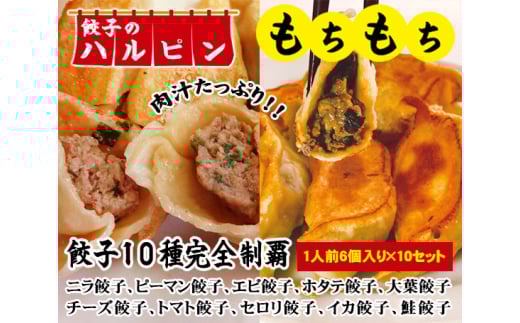 餃子10種完全制覇　10人前＜餃子のハルピン＞ ／ 餃子 食べ比べ 手作り餃子 冷凍餃子 もちもち皮 肉汁 ジューシー 香辛料 中華 点心 家族向け 晩ごはん お取り寄せ 惣菜 個性派餃子 東京都 [No.098]