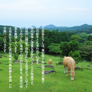 幻のあかうし和牛ハンバーグ 8個入り 6ヶ月定期便 1個120g 特製デミソース トマトソース付き 田野屋青蜂 白鯆 完全天日塩練り込み 