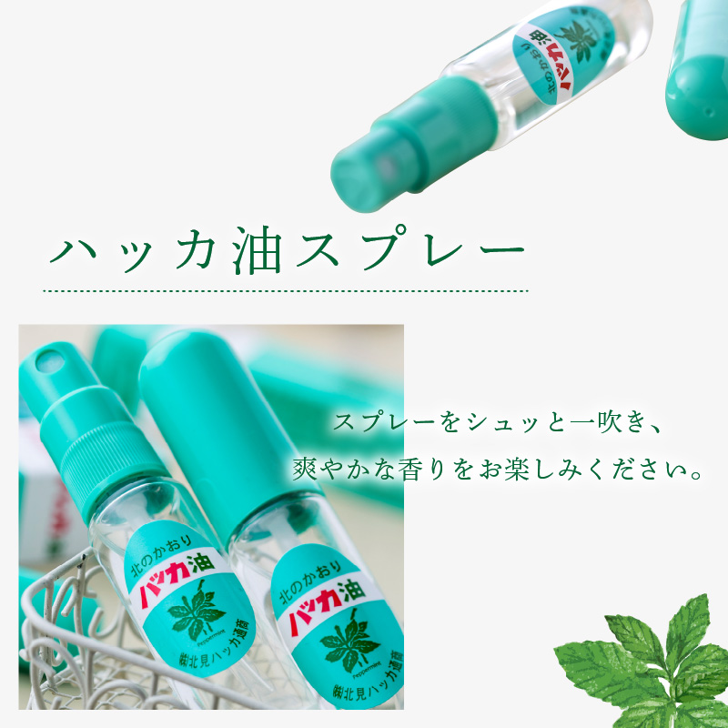 ハッカ油スプレー10ml 1本と詰替リフィル1本 ( ミント スプレー 消臭スプレー 携帯用 詰替え 薄荷 消臭 リフィル 爽快 アロマオイル 天然由来 マスク ハンカチ )【007-0005】