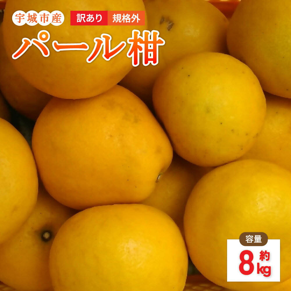 【ふるさと納税】【先行予約】 訳あり パール柑 約8kg 規格外 【2026年1月下旬〜2月下旬発送予定】 文旦 大橘 柑橘 九州 熊本県 宇城市 送料無料 株式会社GGYパッケージ