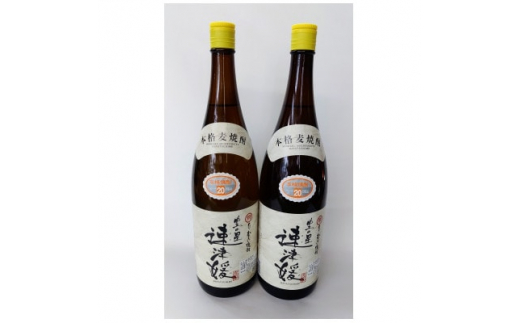 
大分むぎ焼酎　二階堂速津媛20度(1800ml)2本セット【1455053】
