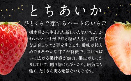 栃木いちご とちあいか4パック《1月中旬-5月末頃出荷》【配送不可地域】沖縄・離島