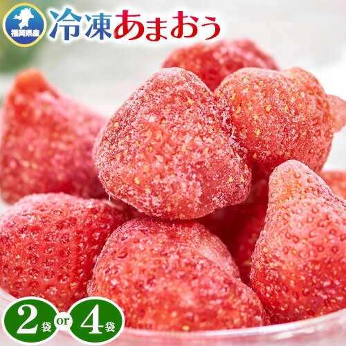 【ふるさと納税】【2026年度出荷】先行予約 福岡県産 冷凍あまおう1kg(500g×2袋) 2kg(500g×4袋) 南国フルーツ株式会社《12月中旬-3月末頃出荷》福岡県 小竹町 あまおう いちご イチゴ 送料無料【配送不可地域あり】