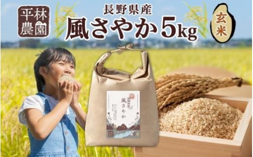 ＜先行予約＞令和7年産 風さやか 玄米 5kg×1袋 長野県産 米 お米 ごはん ライス 低GI 甘み 農家直送 産直 信州 人気 ギフト お取り寄せ 平林農園 送料無料 長野県 大町市