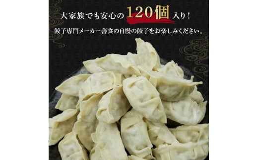 餃子 120個 国産野菜 国産豚肉 冷凍 餃子 大きめ ぎょうざ ギョウザ ギョーザ おつまみ 冷凍食品 食品 惣菜 中華 惣菜 業務用 おかず ビール  ( 冷凍餃子 大容量餃子 国産原料餃子 簡単