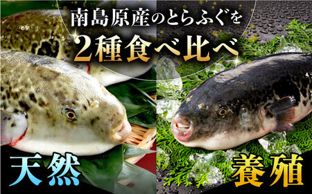 【2027年3月下旬-発送】【豪華食べ比べ！】南島原の天然・養殖とらふぐ刺身セット 各5-6人前 / ふぐ フグ 河豚 トラフグ ふぐ刺し / 南島原市 / 大和庵 [SCJ034]
