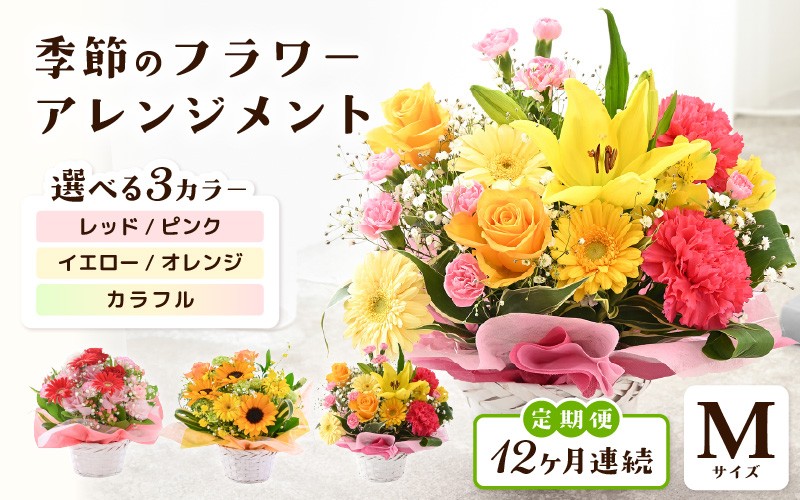 
            定期便 ≪12ヶ月連続お届け≫ 選べるカラー 季節のフラワーアレンジメント M 【カラー：レッド・ピンク / イエロー・オレンジ / カラフル】 【お花 フラワー アレジメント 花束 ギフト 生花 プレゼント 花束 花 記念日 敬老の日 お祝い】 [L-20701] 
          