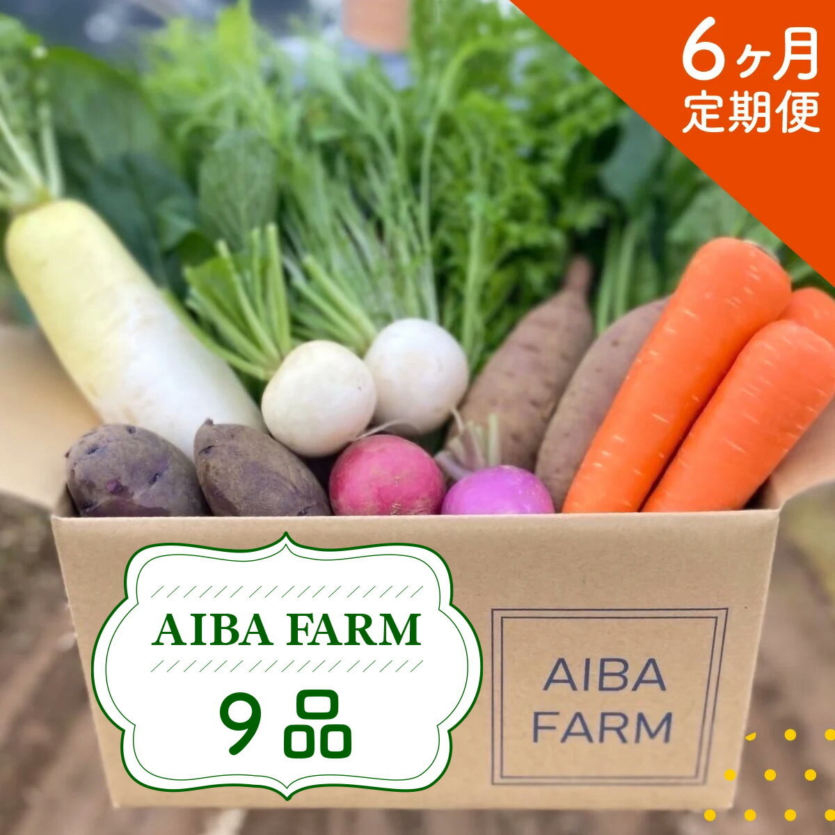 【ふるさと納税】 【6ヶ月 定期便】【栽培期間中農薬不使用】農家直送！季節の新鮮野菜「9品」詰め合わせセット AIBA FARM 野菜セット 無農薬 野菜 千葉県 富里市 直送野菜 お野菜セット 旬野菜 季節野菜 農家直送 採れたて とれたて やさい TML003