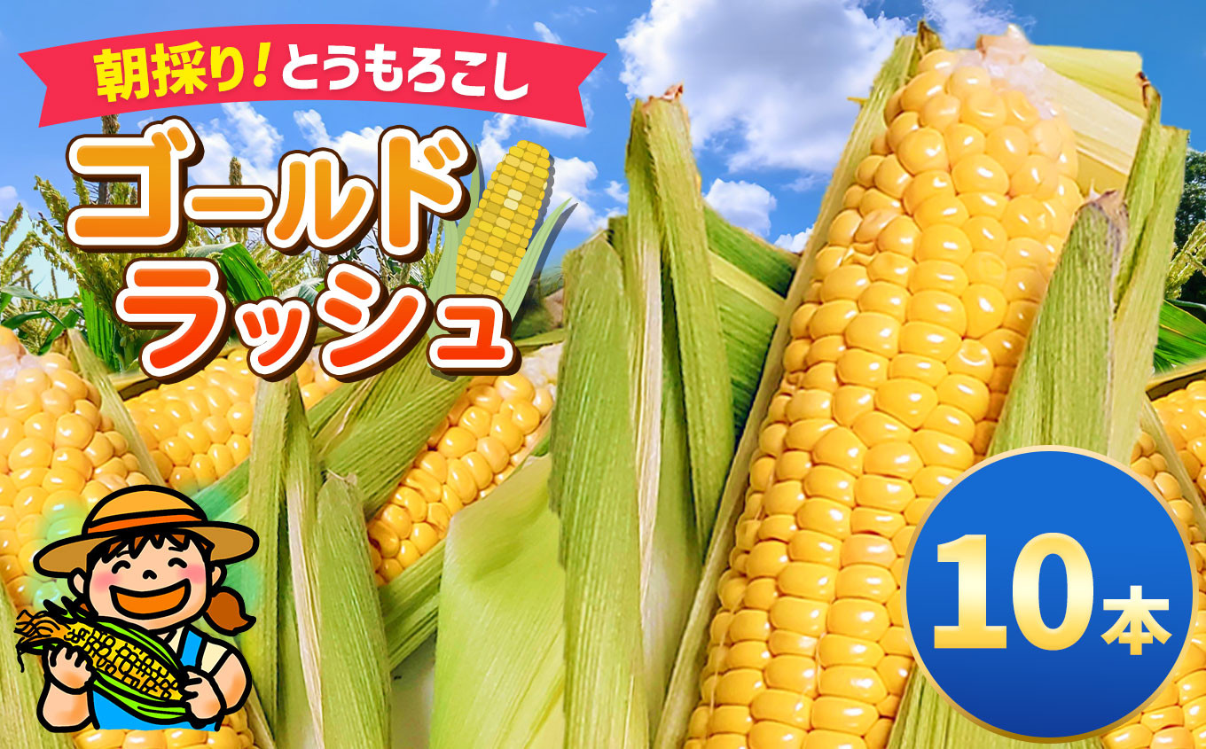 
                  朝採り トウモロコシ 「 ゴールドラッシュ 」10本 7月上旬より順次発送  愛彩畑 | とうもろこし トウモロコシ 夏野菜 野菜 採れたて 新鮮 あいさいばたけ 直売所 君津市 きみつ 千葉県
                